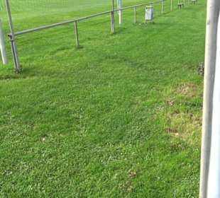 Sportplatz SpV Nürtingen