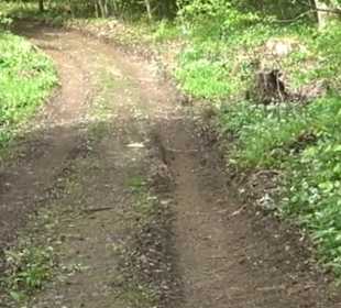 Naturpark Schönbuch