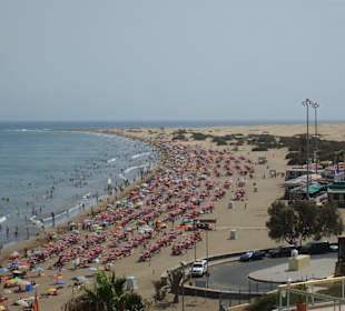 Ausblick in die Dünen