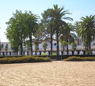 Królewska szkoła jazdy konnej