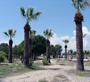 Дорожка к травертинам