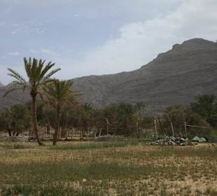 Safari nach Jebel Harim 