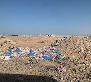 Reiten & Kamelreiten Dana Beach
