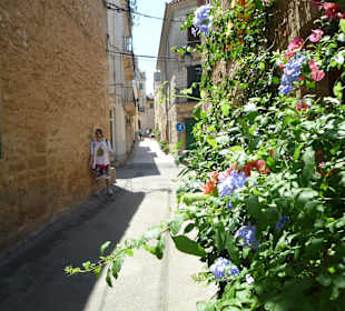 Altstadt von Alcudia