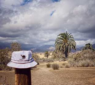 Inselrundfahrt Gran Canaria