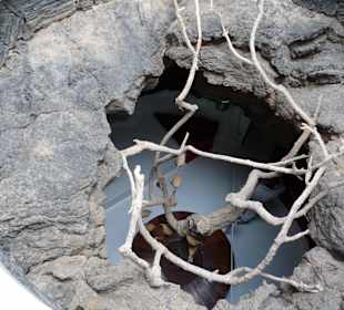 Fundacion Cesar Manrique