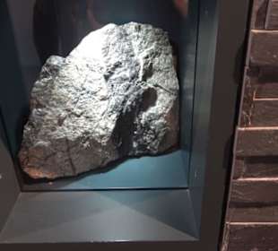 Museum für Naturkunde