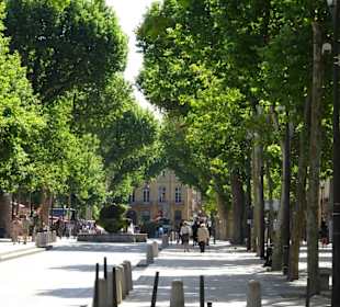 Rundgang über den Cours Mirabeau