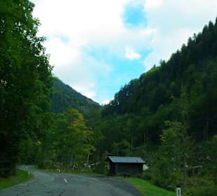 Am Plöckenpass