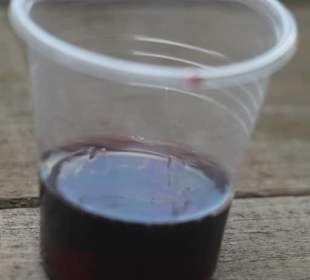 Azienda Agricola Arena Carmelo