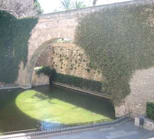 Almudaina-Palast, die königlichen Gärten