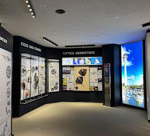 Aquazoo Löbbecke Museum Düsseldorf