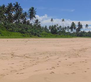 Strand Ahungalla bis Balapitiya