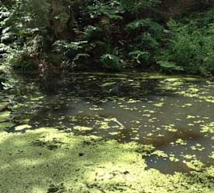 Wanderweg Märchensee Runde