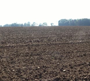 Kelten-Erlebnis-Pfad Erkenbrechtsweiler