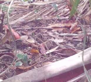 Ausflug mit Mario von Edelweiss Tours