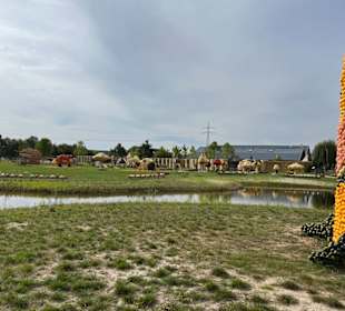 Krewelshof  Kürbisschau 2022 (Wundersame Waldwesen