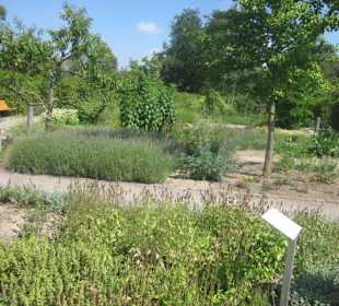 Kurpark Bad Bergzabern