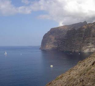 Los Gigantes