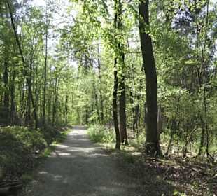 Wanderweg Hochgehwachsen
