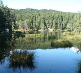 See ist ca. 300 Meter vom Hotel