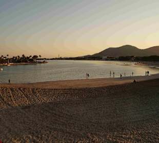 Alcudia
