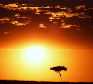 Sonnenaufgang Masei Mara