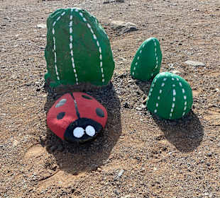 Inselrundfahrt Gran Canaria