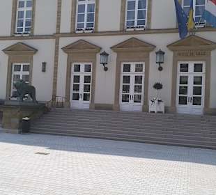 Das Rathaus 