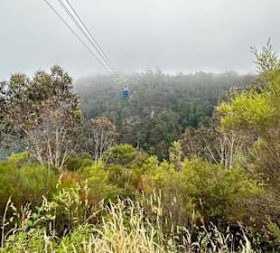 Katoomba Scenic World