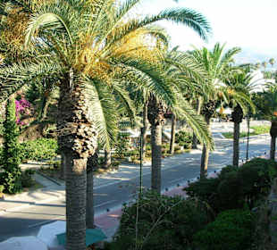 Blick auf die Palmenallee in Kos-Stadt