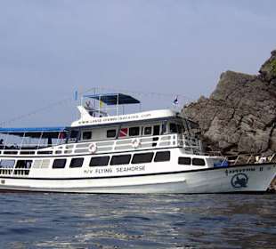 M/V Flying Seahorse