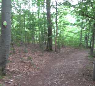 Hochgeträumt Premiumwanderung