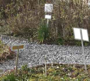 Gewürz- und Kräutergarten