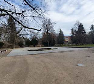 Der Park