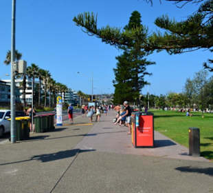 Bondi Beach