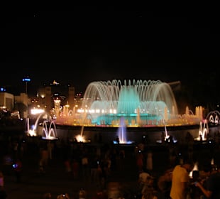 Fuente Magica