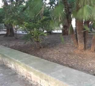 Jardines de Joan March