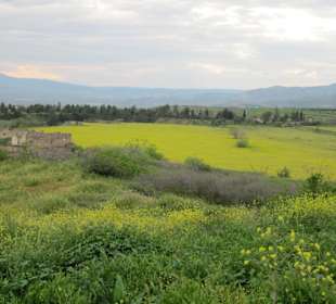 Blick über das Gelände von Alt-Pamukkale