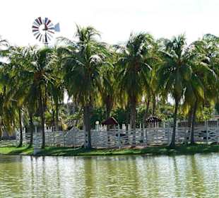 Parque Retiro Josone