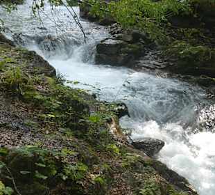 Bei einer Wanderung im Oytal bei Oberstdorf