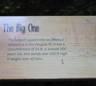 Beschreibung eines Baumes