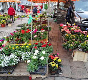 Impressionen vom Auricher Wochenmarkt