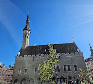 Rathaus Tallinn