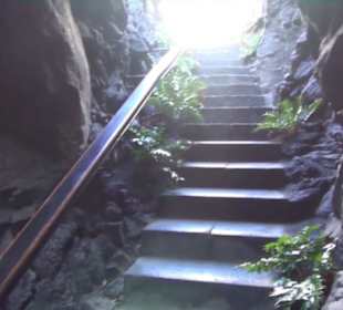 Fundacion Cesar Manrique