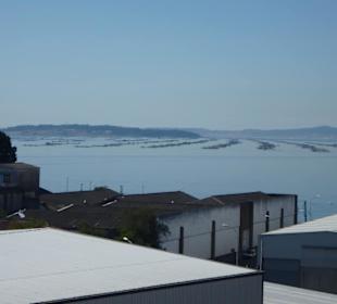 Blick auf die künstlichen Inseln mit Muschelzucht