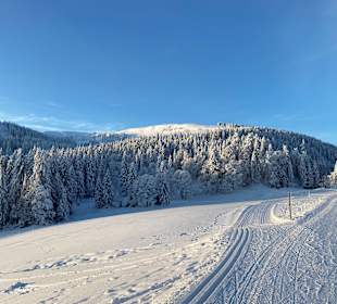 Wandern Hinterzarten