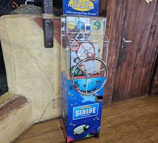 Sealife Aquarium 186-191