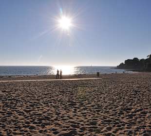 Plage de la Noëveillard 