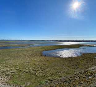Steilküste Heiligenhafen 